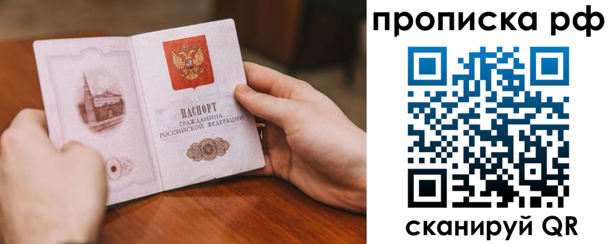 прописка поиск в Новом Осколе